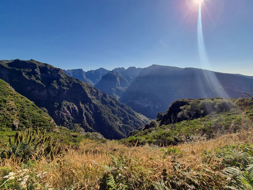 Authentic Madeira