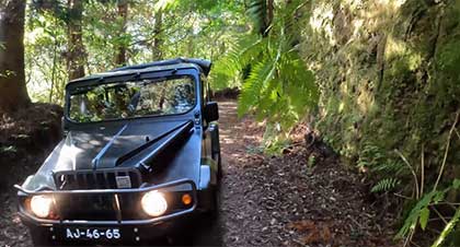 Madeira Jeep Safari