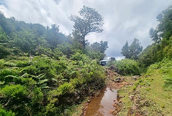 Going off-road in Fanal