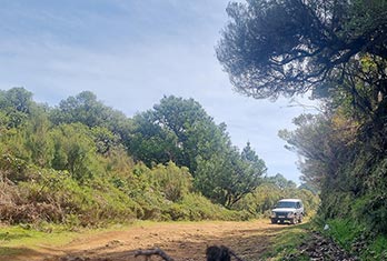 Fanal on a sunny day