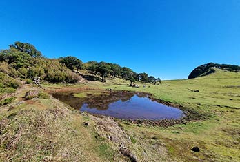 A winter lake in Fanal