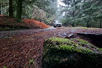 On the way to Ribeiro Frio