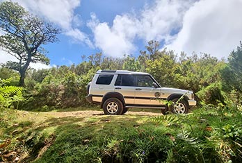 Break time at the forest