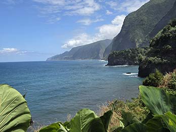 13 - 13 Northwest Sightseeing