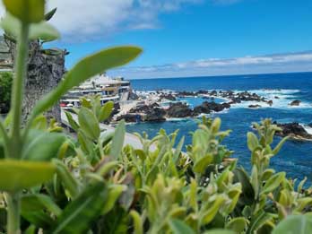 4 - 13 Northwest Sightseeing