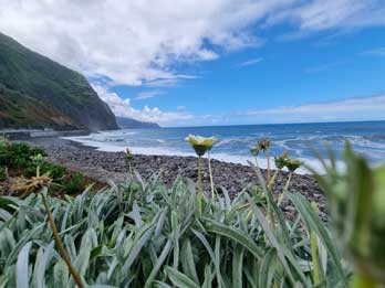 7 - 13 Northwest Sightseeing