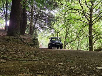 15 - 17 Northeast Sightseeing