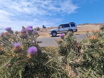 3 - 17 Northeast Sightseeing