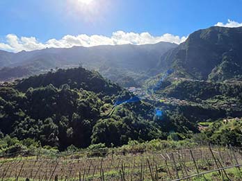 7 - 7 Vineyards & Wine