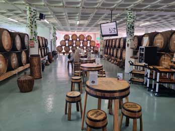 11 - 16 Central Region Experience