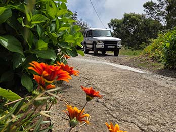 14 - 16 Central Region Experience