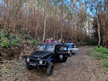 15 - 16 Central Region Experience