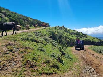 16 - 16 Central Region Experience