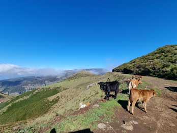 3 - 16 Central Region Experience