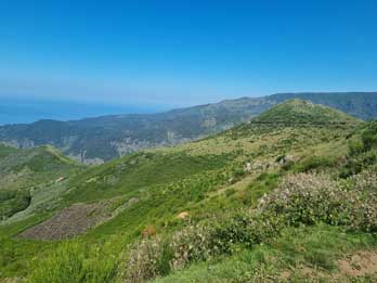 6 - 16 Central Region Experience