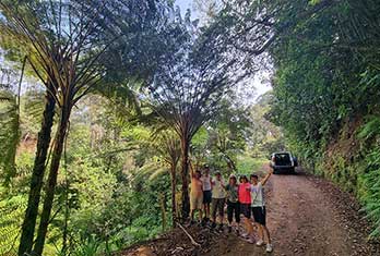 1 - 12 Jurassic Park