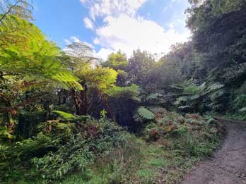 12 - 12 Jurassic Park