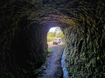 2 - 12 Jurassic Park