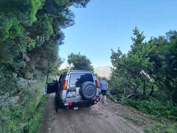 3 - 12 Jurassic Park