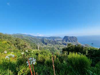 4 - 12 Jurassic Park