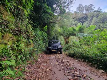 5 - 12 Jurassic Park