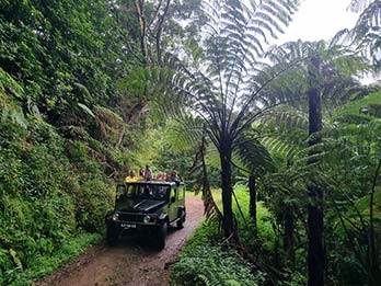 6 - 12 Jurassic Park