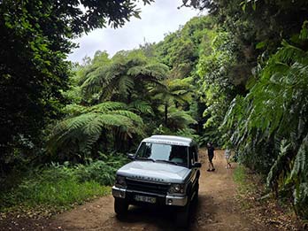 7 - 12 Jurassic Park