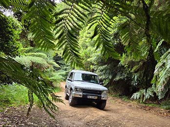 8 - 12 Jurassic Park