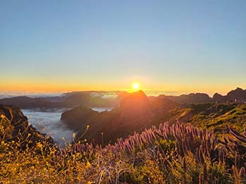 1 - 8 Magical Sunrise