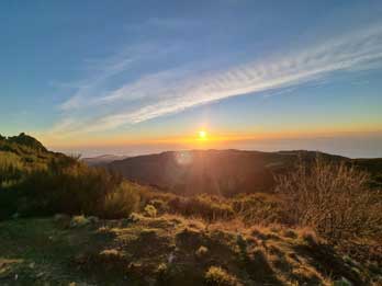 4 - 8 Magical Sunrise