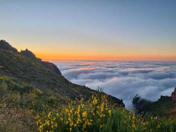 7 - 8 Magical Sunrise