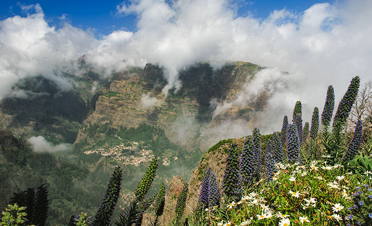 Central Picturesque Peaks High Mountain Views