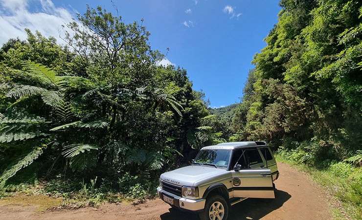 Jurassic Park Off-road Adventure Forest